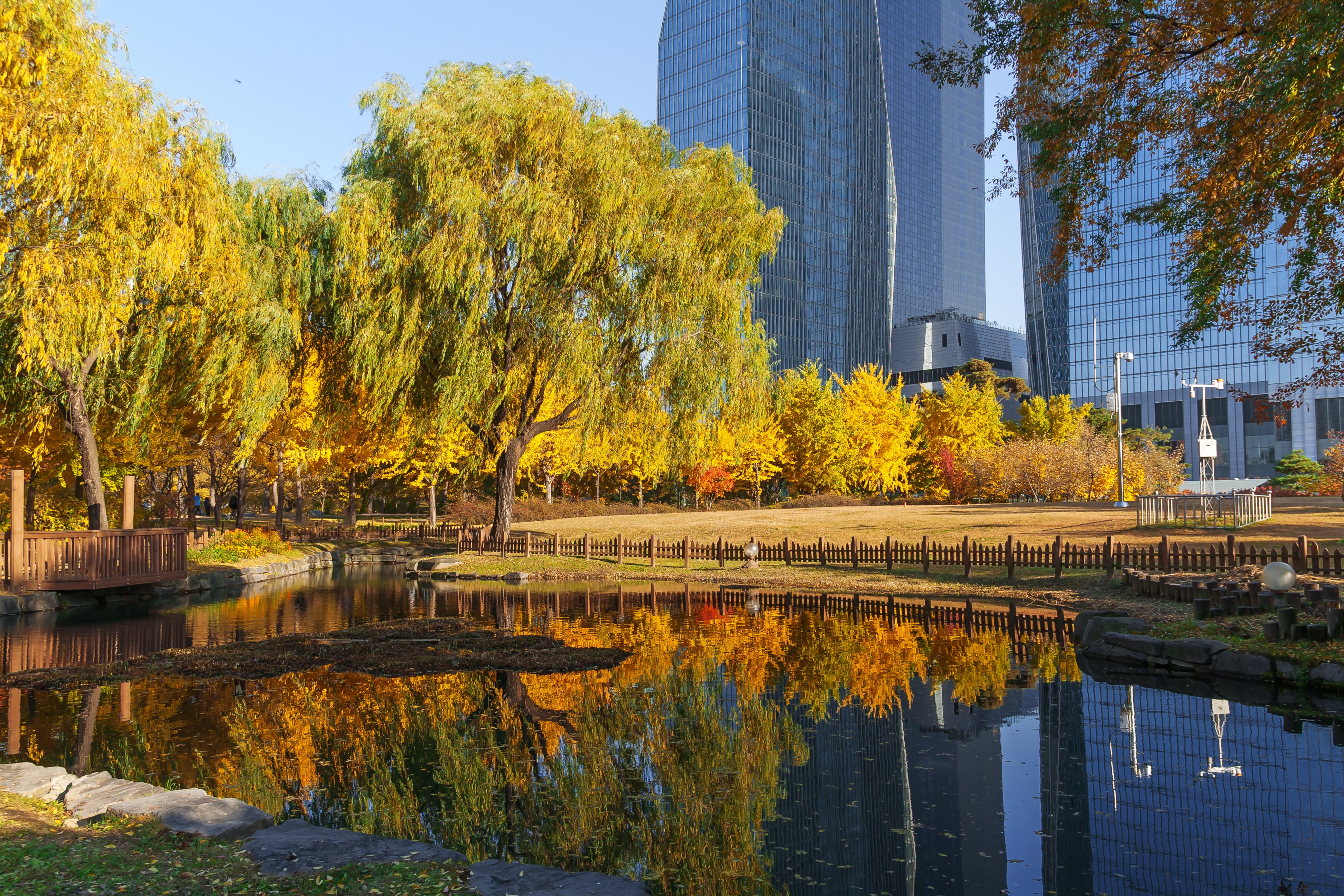 Romantic Autumn in Korea galeri 4